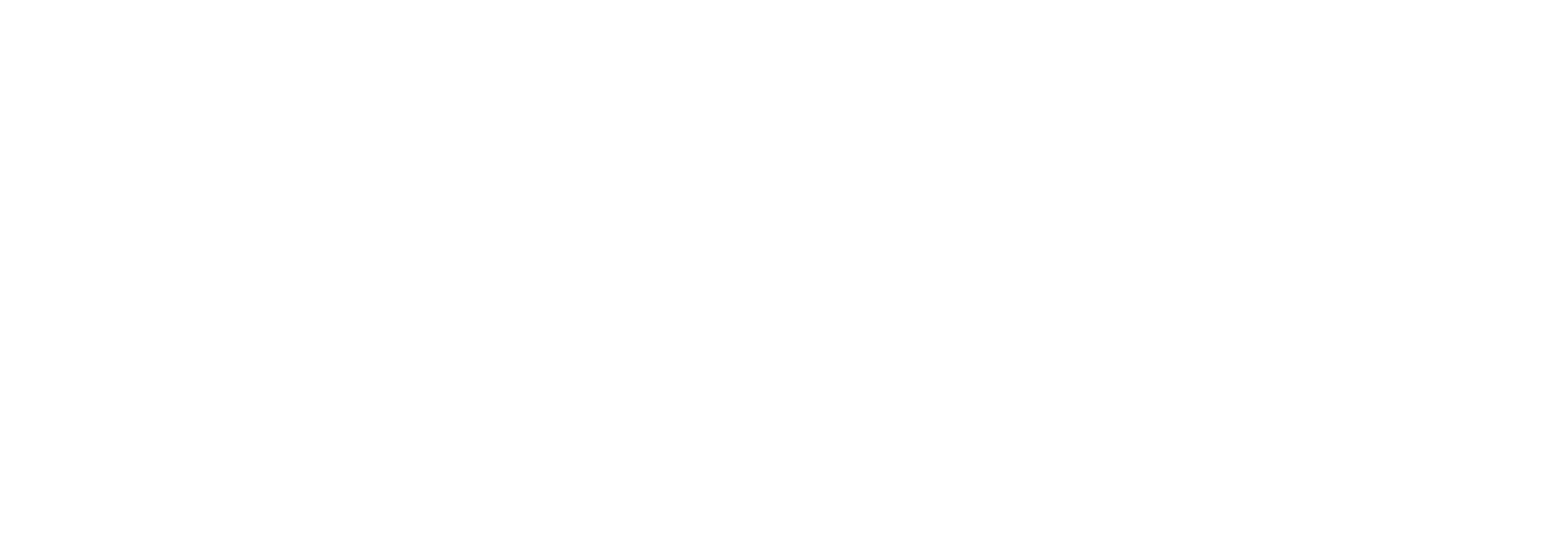 ski-team-engine-main-logo